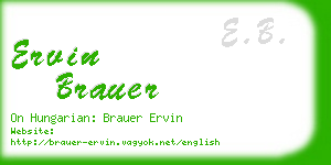 ervin brauer business card